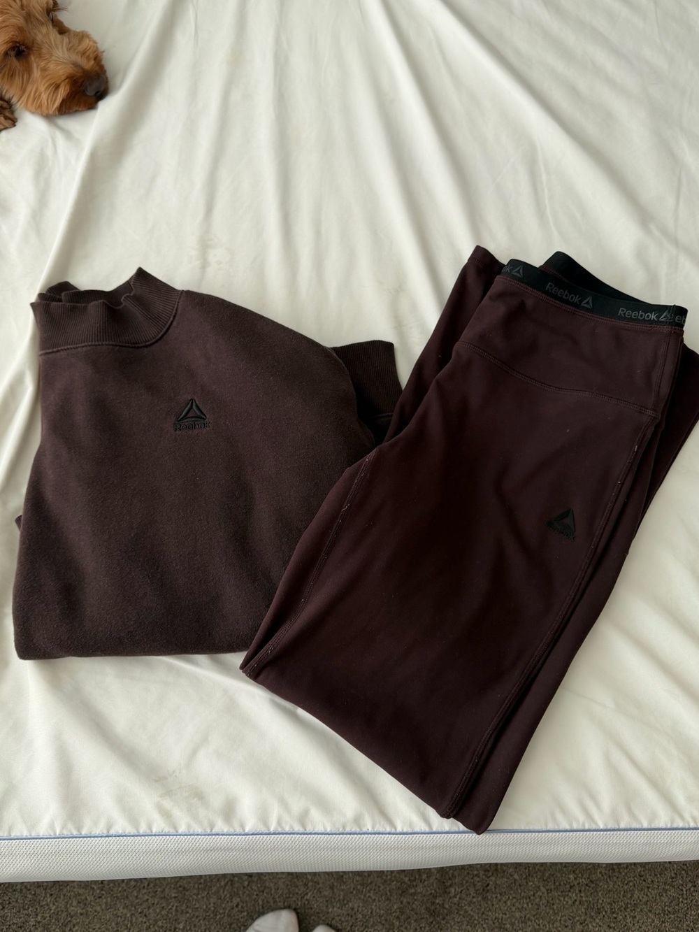 Brown reebok set